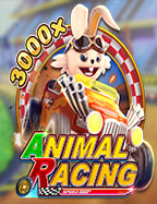 เว็บ แทง บอล อันดับ 1 ที่คุณไม่ควรพลาด